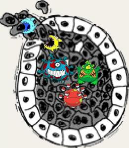 invasive ductal cancer