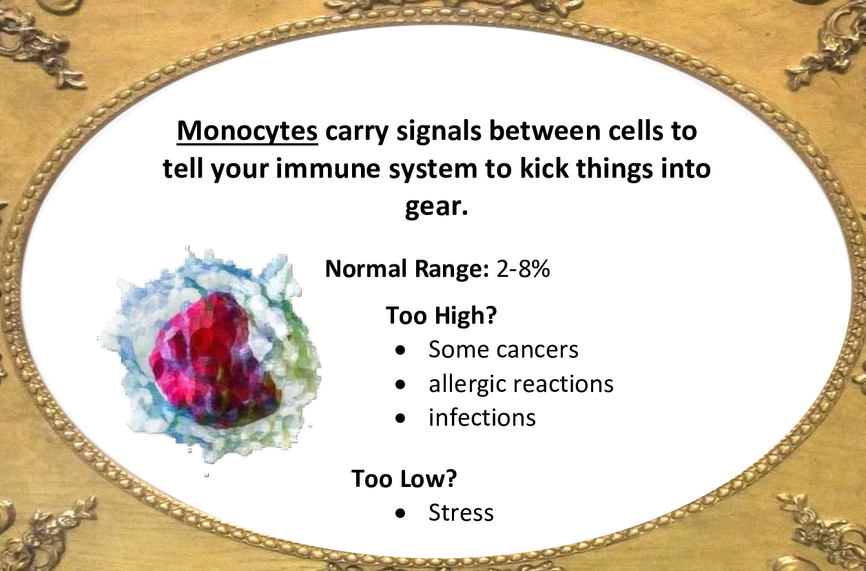 MONOCYTES